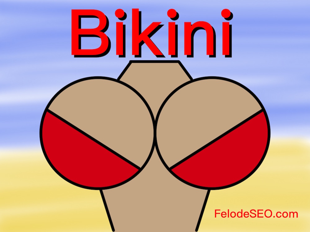 Bikini Oberteil